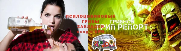 крисы Алексин