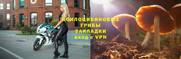 гашик Алексеевка