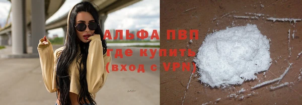 гашик Алексеевка