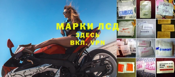крисы Алексин