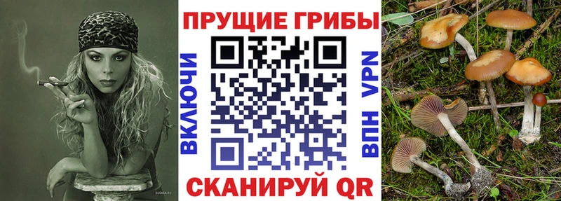мега ТОР  Верхоянск  Галлюциногенные грибы прущие грибы  где продают  